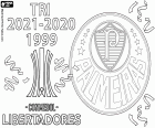Sociedade Esportiva Palmeiras zdobyła swój trzeci tytuł mistrza Copa Libertadores. Palmeiras pokonało Flamengo 2:1 w finale dzięki bramkom Raphaela w 5. minucie i decydującemu golowi Deyversona w 95. minucie, a w 72. minucie bramce Gabriela Barbosy dla drużyny carioca.