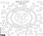 New York City Football Club zdobył swój pierwszy tytuł mistrzowski MLS Cup 2021