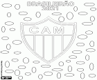 Clube Atlético Mineiro jest mistrzem Brasileirão 2021, Série A Mistrzostw Brazylii. To drugi tytuł klubu Belo Horizonte po tym, który zdobył pięćdziesiąt lat temu, w 1971 roku.
