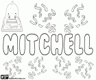 Mitchell i jego wariant Mitchel, męskie imię w języku angielskim, szkockim i irlandzkim, ma różne pochodzenie etymologiczne, wszystkie wywodzą się od imion Michael lub Michel