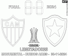 Atlético Mineiro vs. Botafogo, finał Copa Libertadores 2024, Estadio Monumental w Buenos Aires, Argentyna