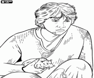 kolorowanka Ron z szczur w dłoni