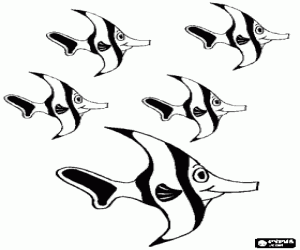 kolorowanka Wiele ryb i rafy koralowe