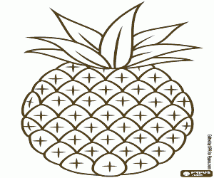 kolorowanka Tropikalny ananas, prosty rysunek
