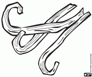 kolorowanka Trzy Strąki wanilii