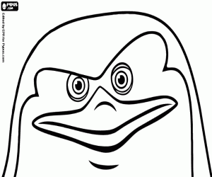 kolorowanka Twarz Skipper