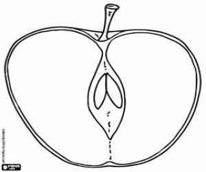 kolorowanka Wewnątrz jabłko