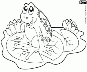 kolorowanka Żaba na lilii wodnej